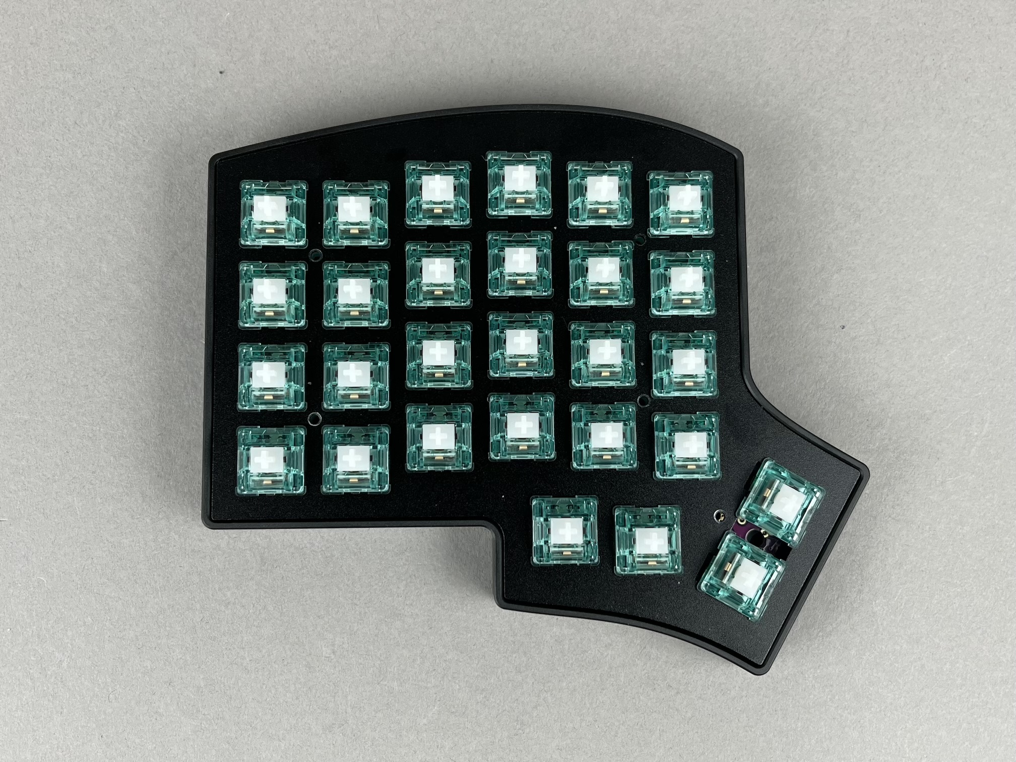 Plate assembly placed in case tray