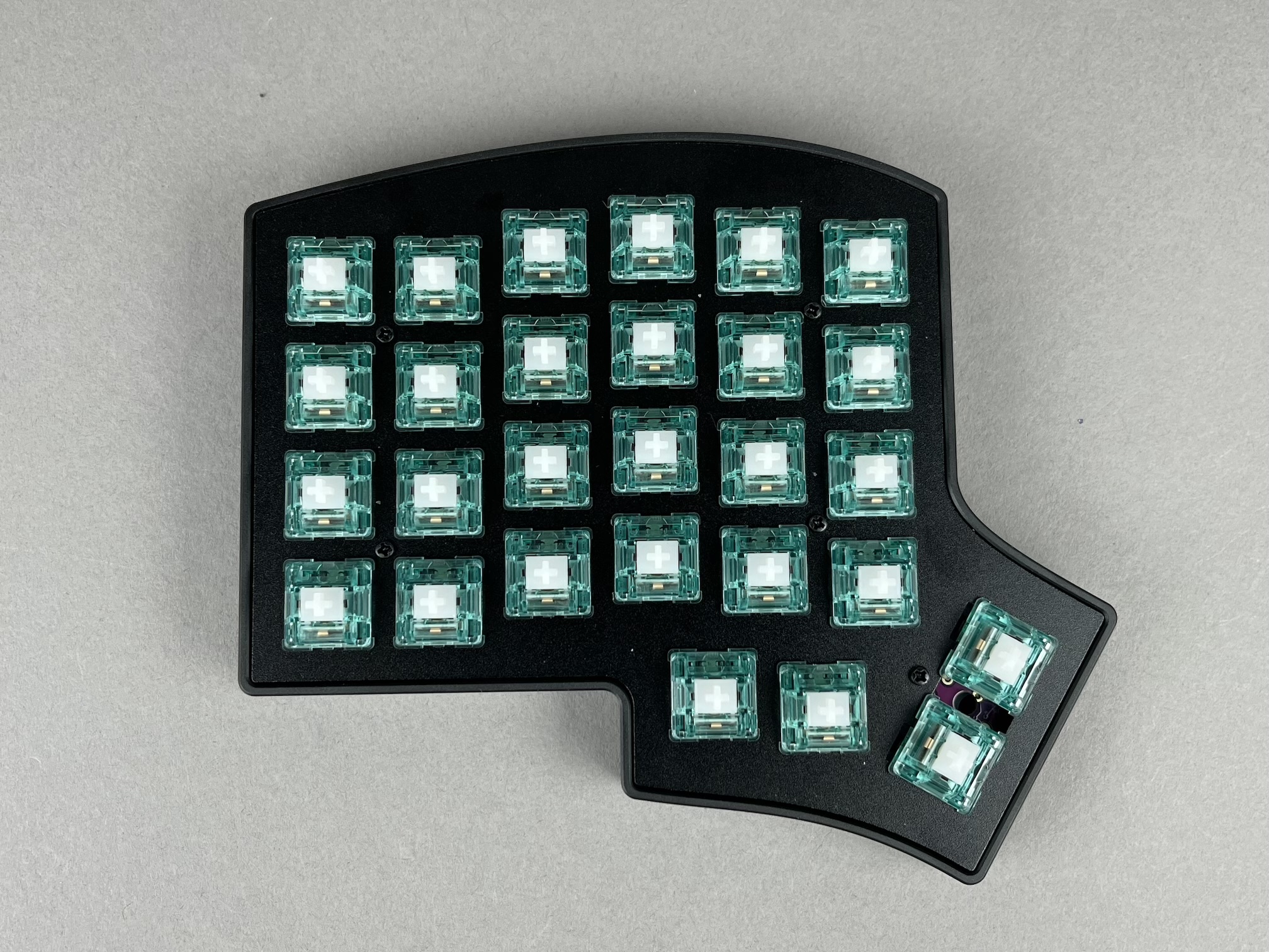 Screws added to case tray