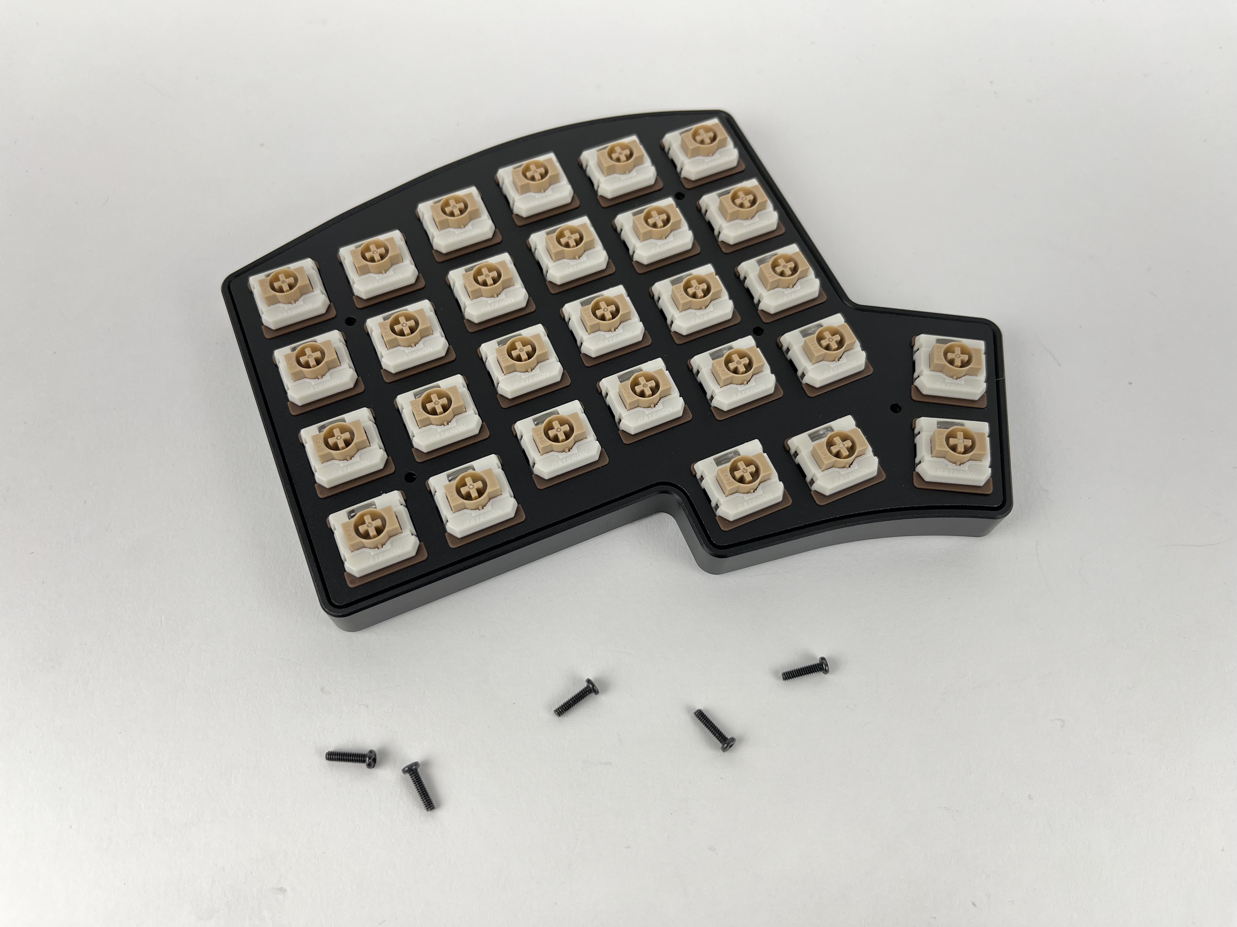Plate assembly placed in case tray