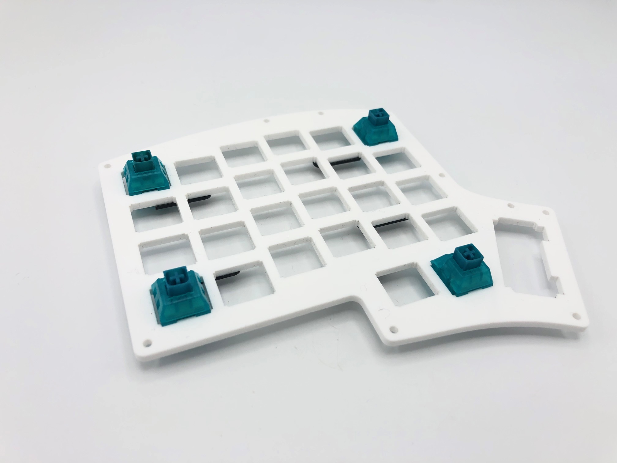 Corner Switches Inserted in Switch Plate